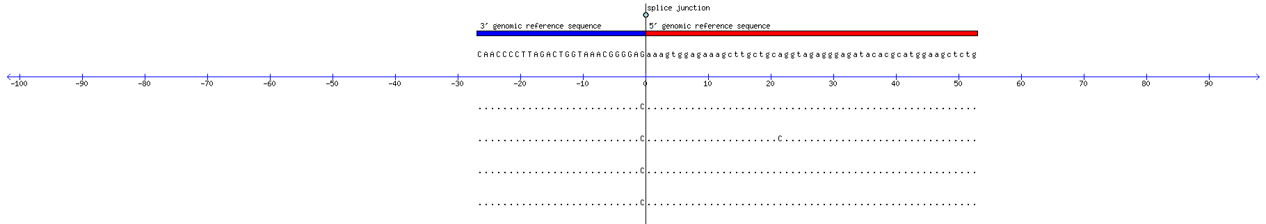 Memczak 2013 circRNA study (pooled samples) Resized JPEG graphic
